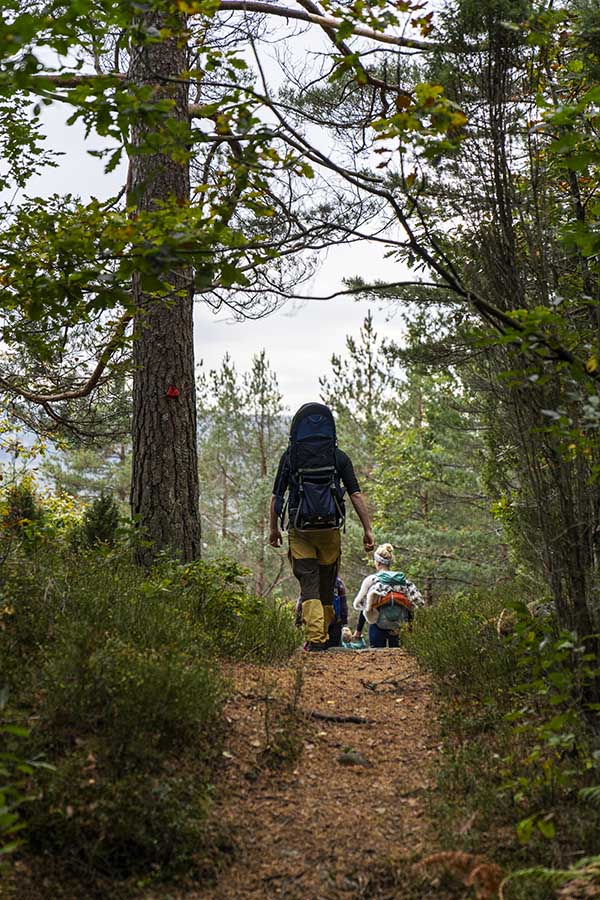 Mann på tur i naturen